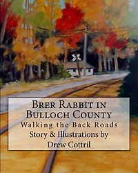 Brer Rabbit in Bulloch County: Walking the Back Roads