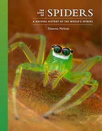 the Lives of Spiders: A Natural History World's Spiders