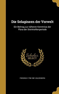 Die Selagineen der Vorwelt: Ein Beitrag zur näheren Kenntniss Flora Steinkohlenperiode