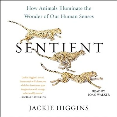 Sentient: How Animals Illuminate The Wonder Of Our Human Senses