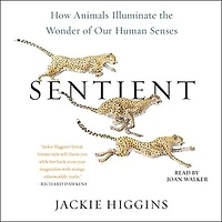 Sentient: How Animals Illuminate The Wonder Of Our Human Senses
