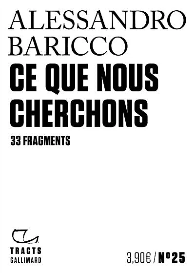 Ce que nous cherchons: 33 fragments