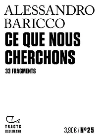Ce que nous cherchons: 33 fragments