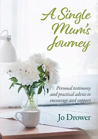 A Single Mum's Journey: Personal testimony and practical advice to encourage support