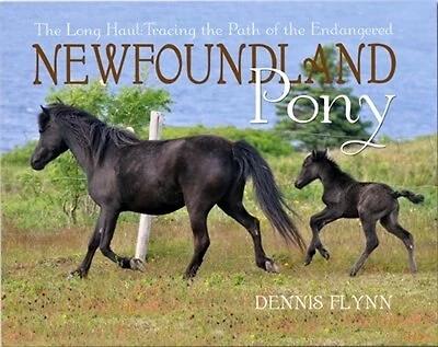The Long Haul:Tracing the Path of the Newfoundland Pony