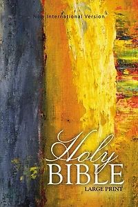 Niv, Holy Bible, Larger Print, Paperback