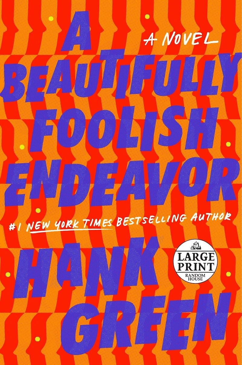A Beautifully Foolish Endeavor: Novel