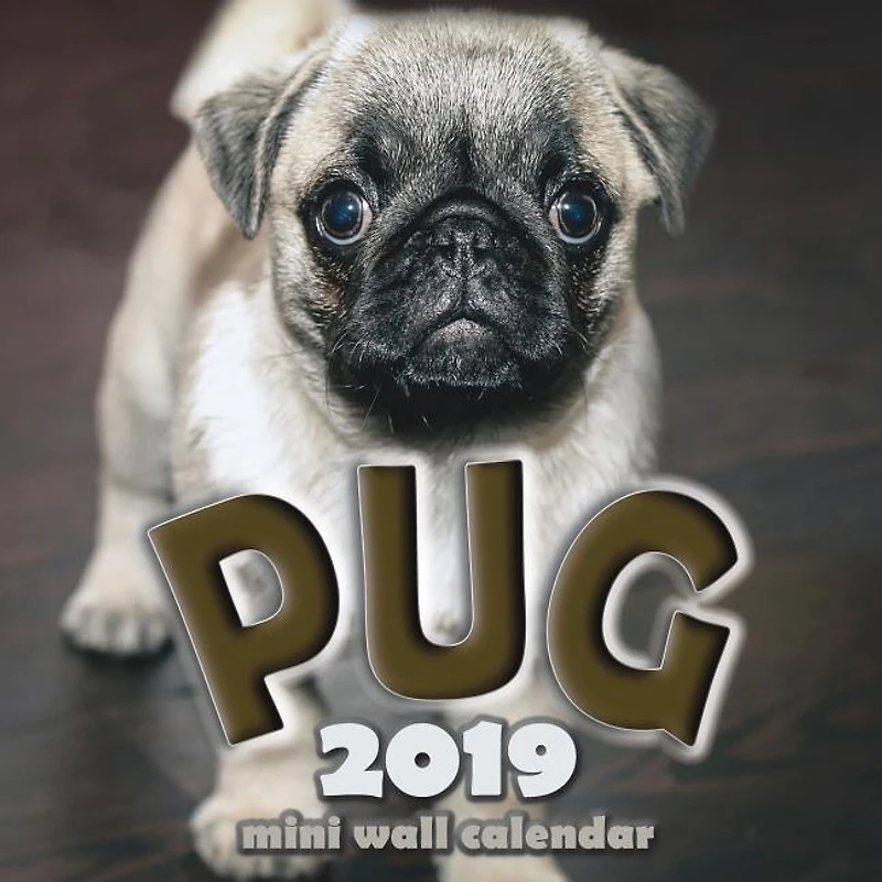 The Pug 2019 Mini Wall Calendar