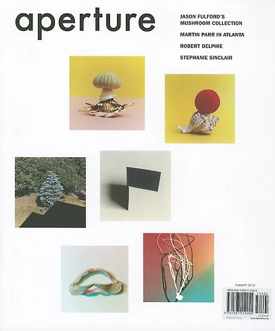 Aperture 207