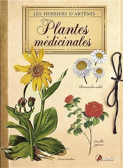 Les plantes médicinales