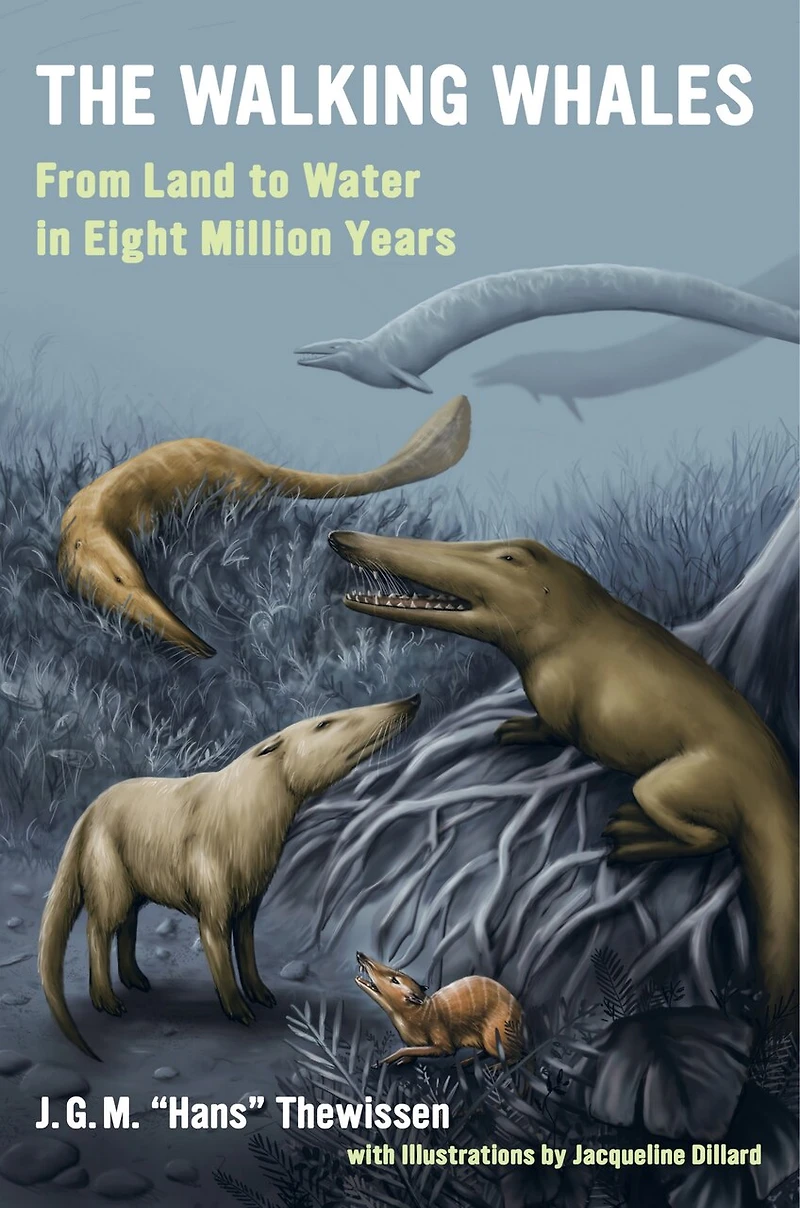 The Walking Whales: From Land To Water Eight Million Years