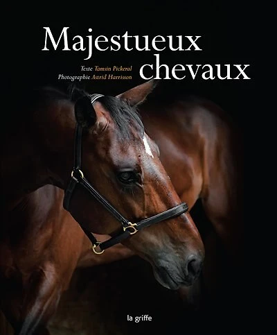 Majestueux chevaux