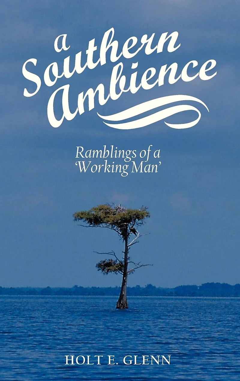 A Southern Ambience: Ramblings Of 'working Man'