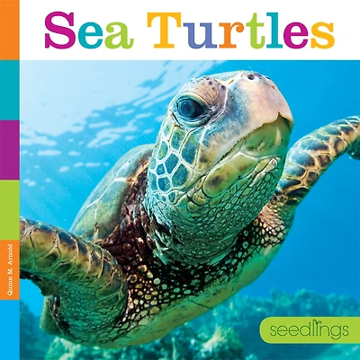 Seedlings: Sea Turtles