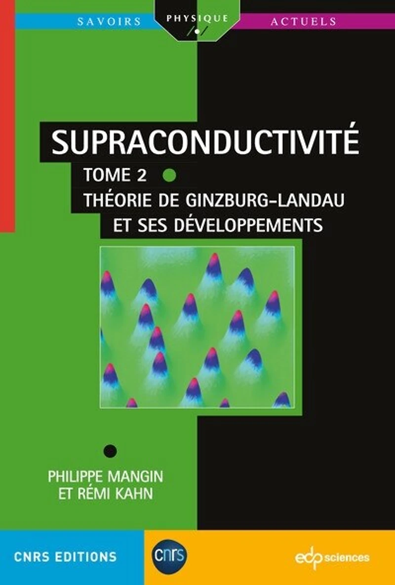 Théorie de Ginzburg-Landau et ses développements