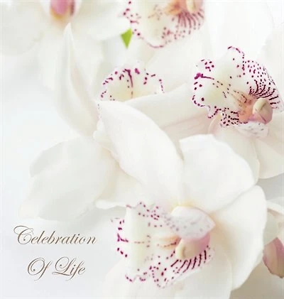 Celebration of Life, In Loving Memory Funeral Guest Book, Wake, Loss, Memorial Service, Love, Condolence Book, Funeral Home, Missing You