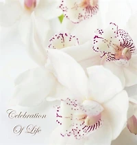 Celebration of Life, In Loving Memory Funeral Guest Book, Wake, Loss, Memorial Service, Love, Condolence Book, Funeral Home, Missing You