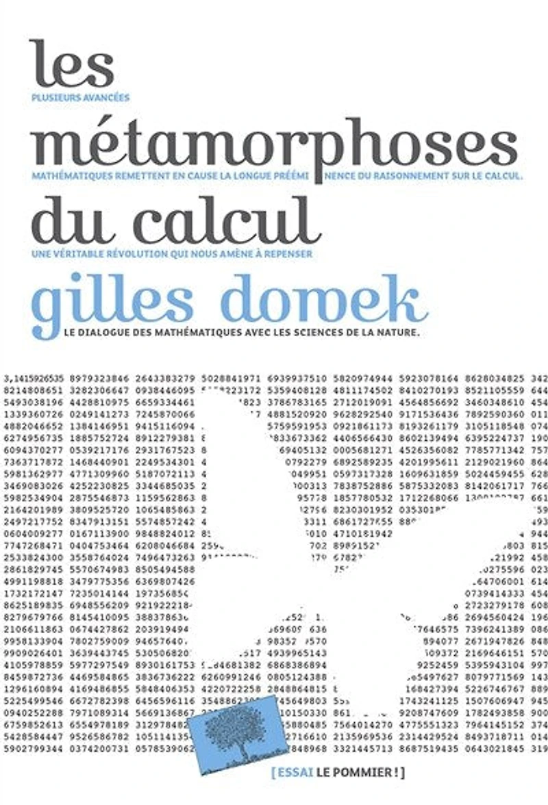 Les Métamorphoses du calcul : Une étonnante histoire des mathématiques