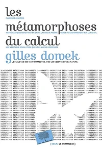 Les Métamorphoses du calcul : Une étonnante histoire des mathématiques