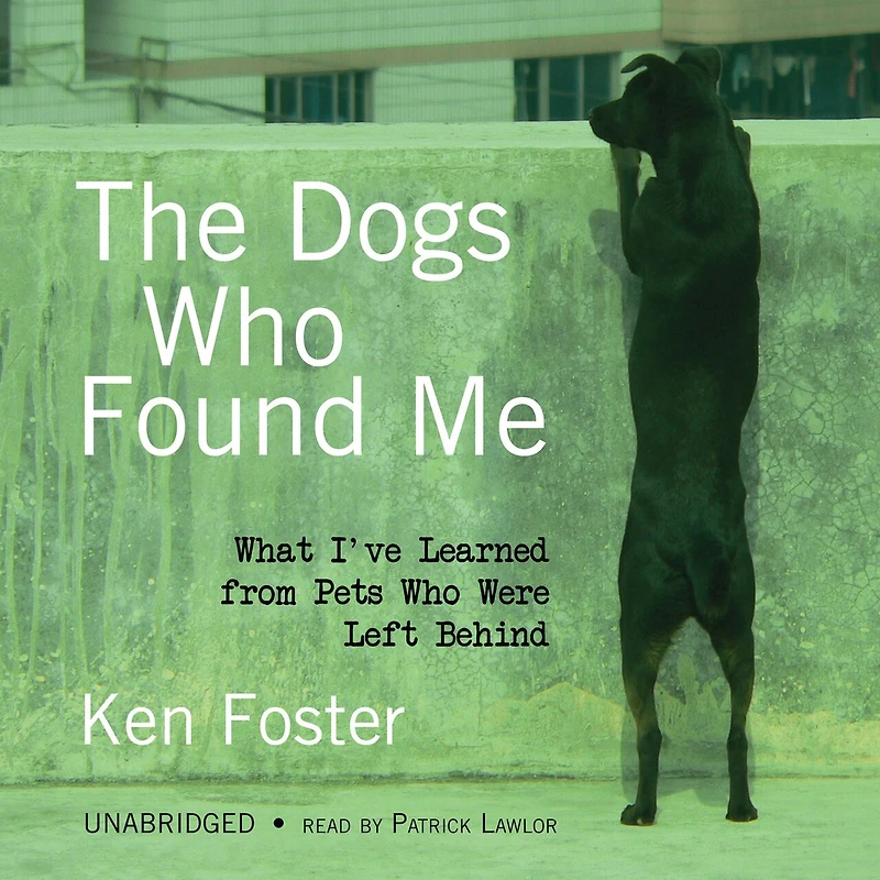 The Dogs Who Found Me: What I’ve Learned from Pets Were Left Behind