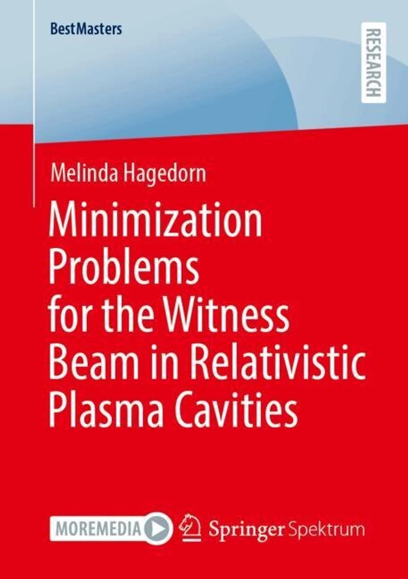 Minimization Problems for the Witness Beam Relativistic Plasma Cavities