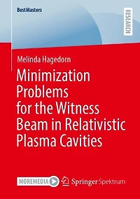 Minimization Problems for the Witness Beam Relativistic Plasma Cavities