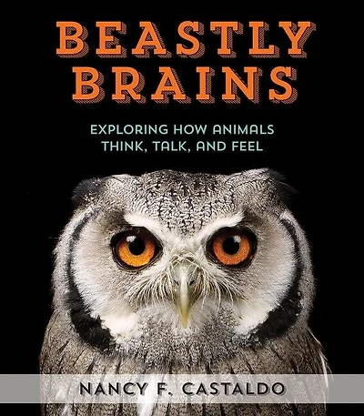 Beastly Brains: Exploring How Animals Think, Talk, And Feel