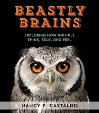 Beastly Brains: Exploring How Animals Think, Talk, And Feel