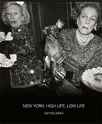 New York: High Life / Low Life