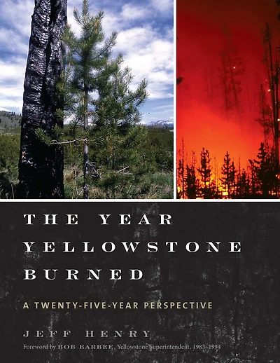 The Year Yellowstone Burned: A Twenty-five-year Perspective