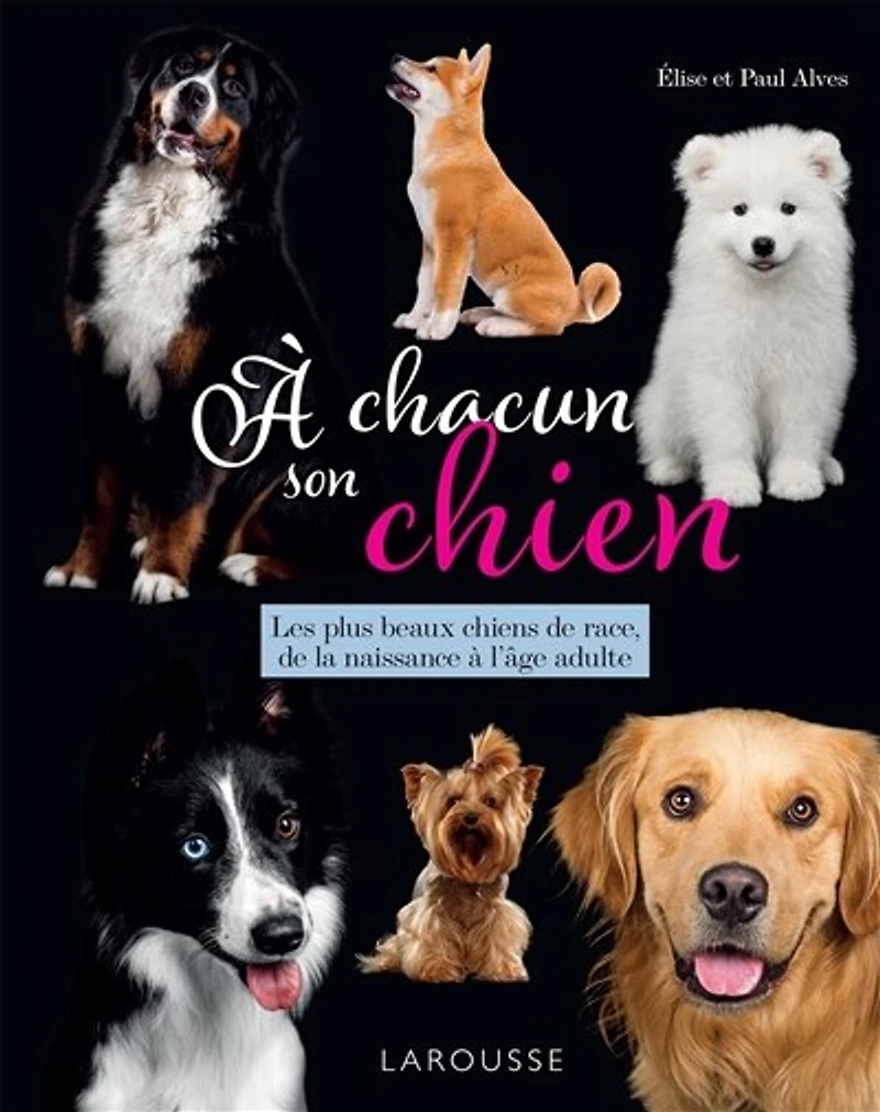 à chacun son chien: les plus beaux chiens de race, la naissance l'âge adulte