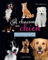 à chacun son chien: les plus beaux chiens de race, la naissance l'âge adulte