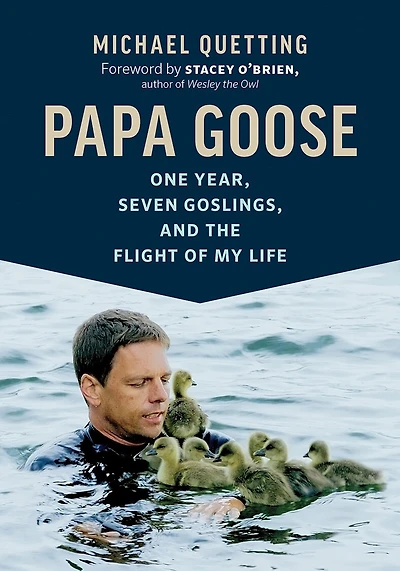 Papa Goose: One Year, Seven Goslings, And The Flight Of My Life