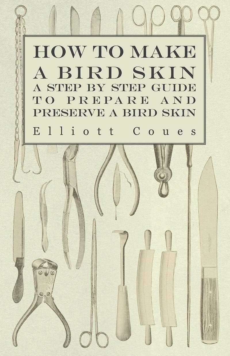 How to Make a Bird Skin - Step by Guide Prepare and Preserve
