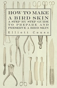 How to Make a Bird Skin - Step by Guide Prepare and Preserve