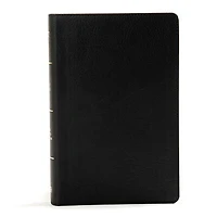 KJV Large Print Personal Reference Bible, Earthen SuedeSoft LeatherTouch