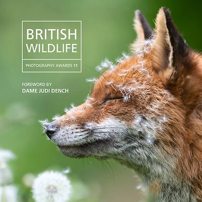 British Wildlife: Photography Awards 11