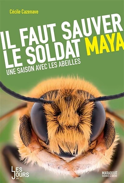 Il faut sauver le soldat maya