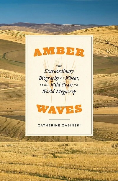 Amber Waves: The Extraordinary Biography Of Wheat, From Wild Grass To World Megacrop