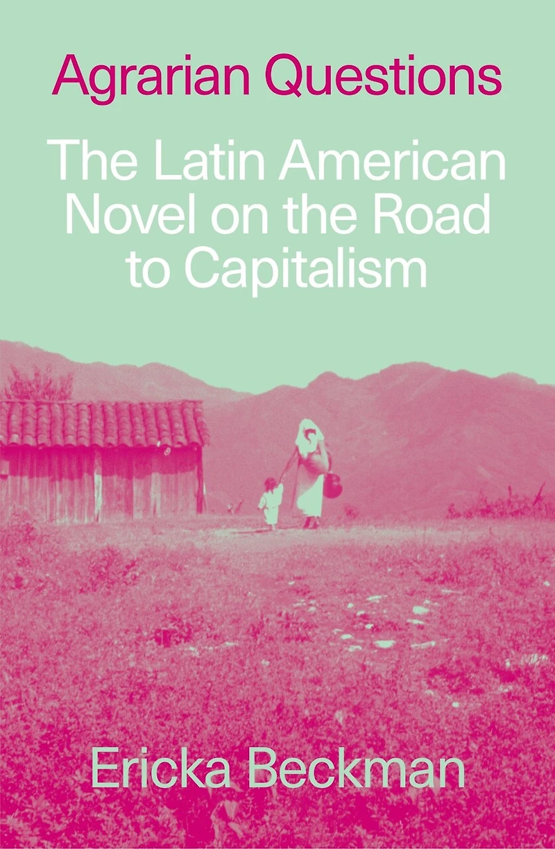 Agrarian Questions: the Latin American Novel on Road to Capitalism