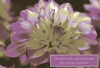 Card Box Of 20 Notecards And Envelopes: Dahlia: A Delightful Pack High-quality Flower Gift Cards Decorative Envelopes