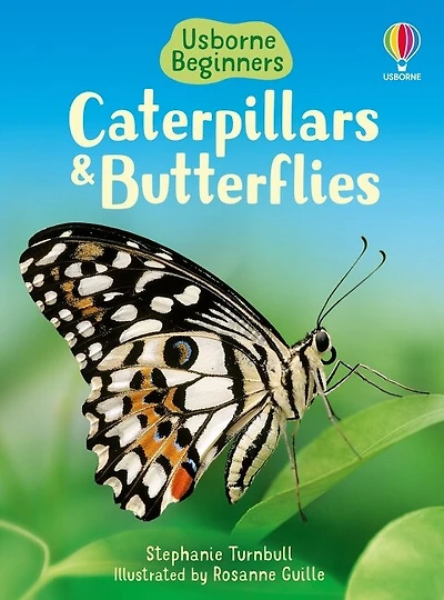 Caterpillars and Butterflies (Usborne Beginners)