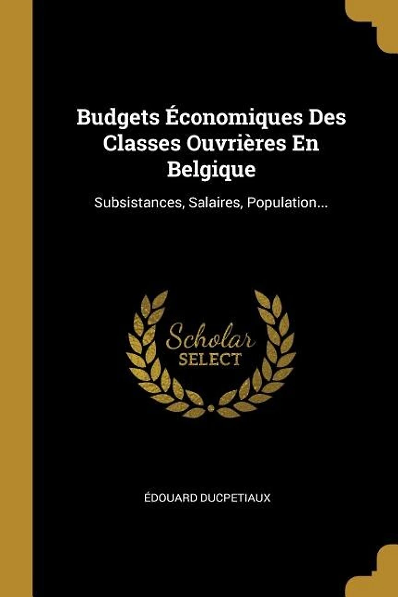Budgets Économiques Des Classes Ouvrières En Belgique: Subsistances, Salaires, Population...