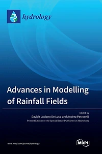 Advances in Modelling of Rainfall Fields
