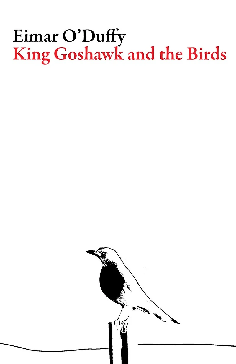 King Goshawk And The Birds
