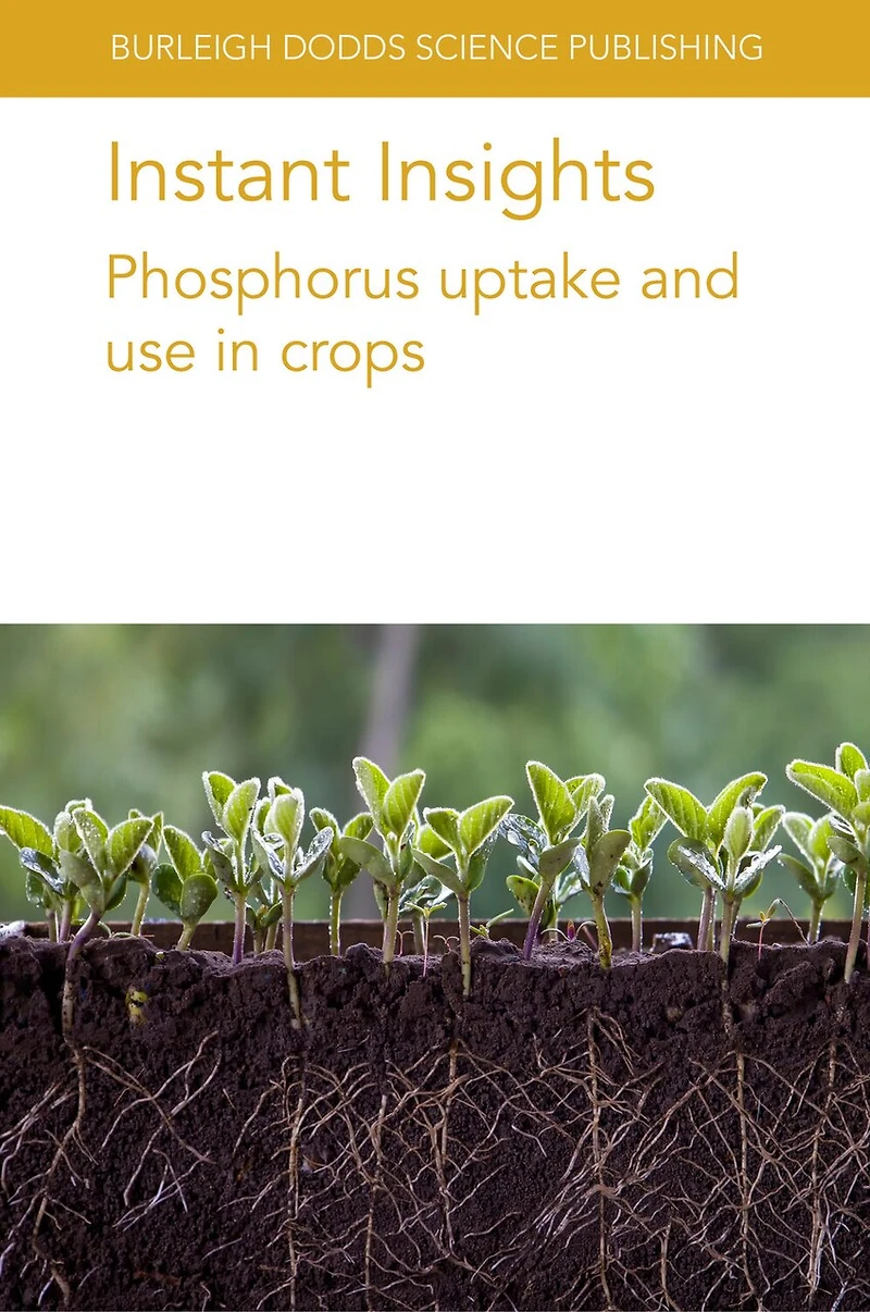 Instant Insights: Phosphorus uptake and use crops