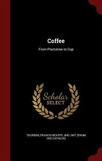 Coffee: From Plantation to Cup