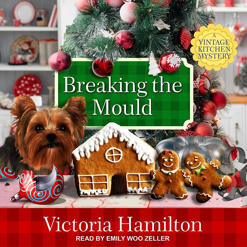 Breaking the Mould Lib/E