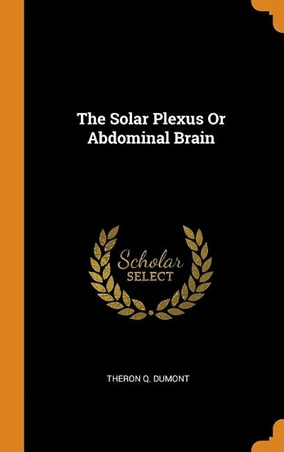 The Solar Plexus Or Abdominal Brain