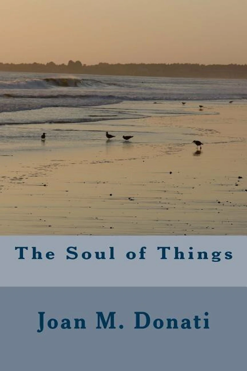 The Soul of Things